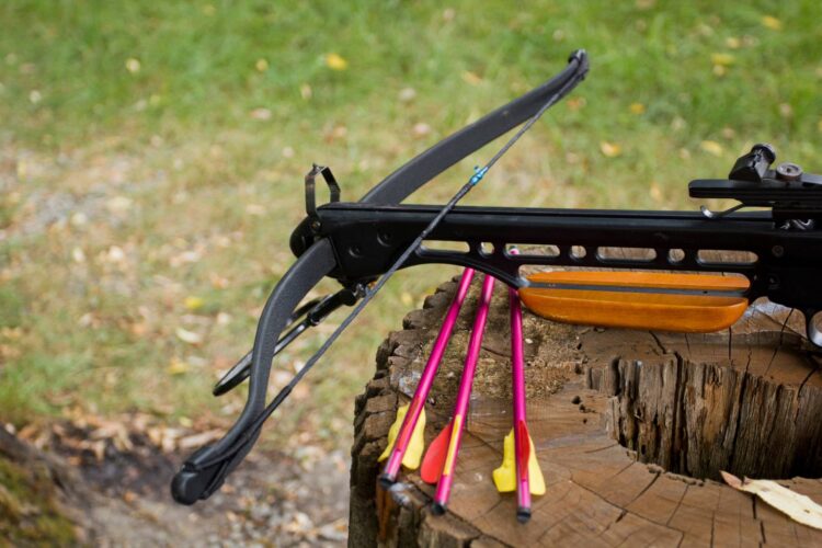 Crossbow Hunting Adventures
